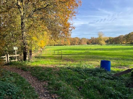 Agrarische grond Landreben Oldenzaal