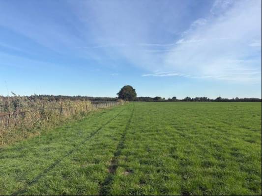 Agrarische grond Heerlesebaan Bergen op Zoom