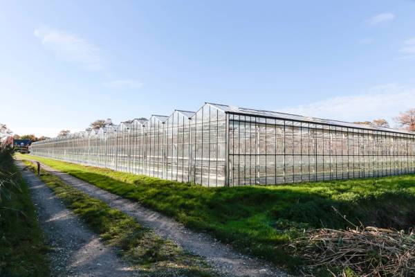 Agrarisch bedrijf Soemeersingel 4 Helenaveen