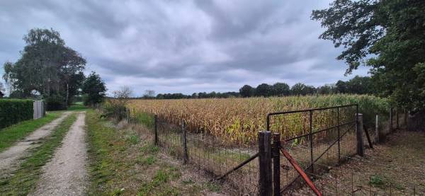 Agrarische grond Hengstheuvelweg Uden