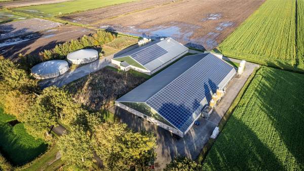 Agrarisch bedrijf Limietweg 146 Barger-Compascuum