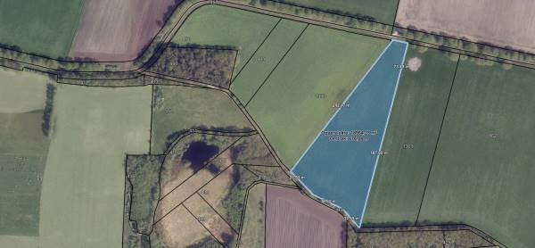 Agrarische grond Oosterweg Langelo