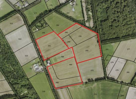 Agrarische grond Beek Schijndel