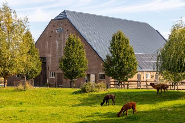 Agrarisch bedrijf Kroonweg 3 Werkendam