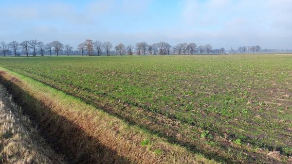 Agrarische grond Twistweg Vredepeel