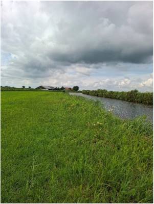 Agrarische grond Slijkenburgerdijk Kuinre