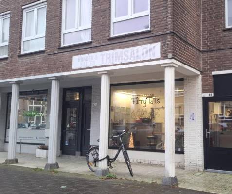 Bedrijfsruimte Dr. Struyckenstraat 89 Breda