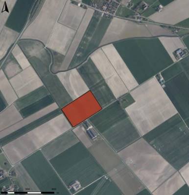 Agrarische grond Kolholsterweg Spijk (GR)