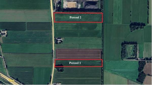 Agrarische grond Doesburgseweg Zevenaar