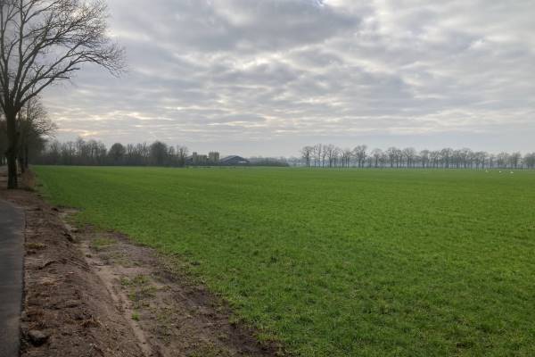 Agrarische grond Van de Veldenweg Diessen