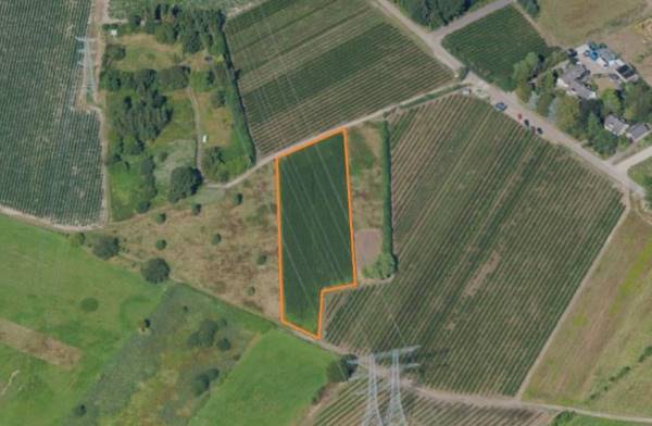 Agrarische grond Dorenweg Nuenen