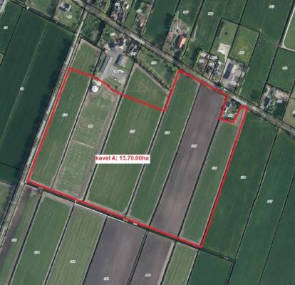 Agrarische grond Hegedyk Langezwaag