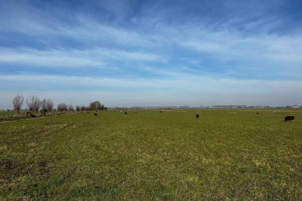Agrarische grond Batelaan Koudekerk aan den Rijn