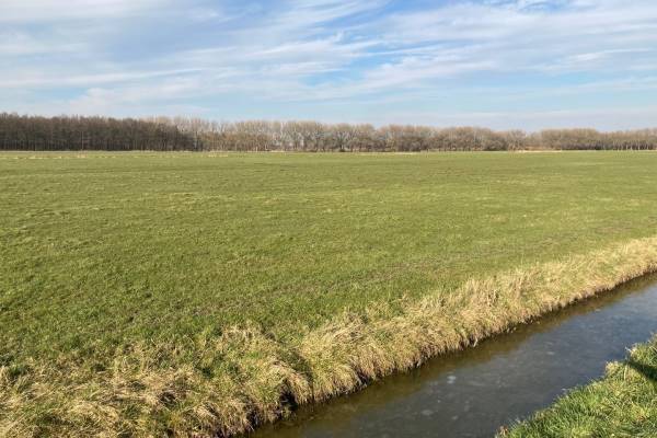 Agrarische grond Noordeindseweg 54 Delfgauw