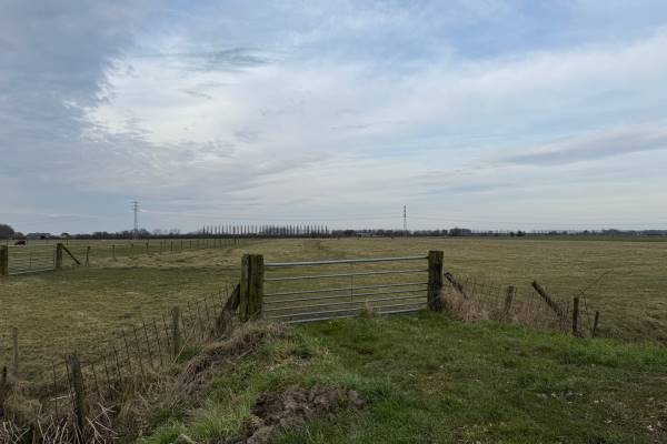 Agrarische grond Culemborgseweg 10-nabij Asch
