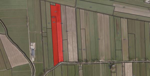 Agrarische grond Hooglandse Tiendweg 1 Kedichem