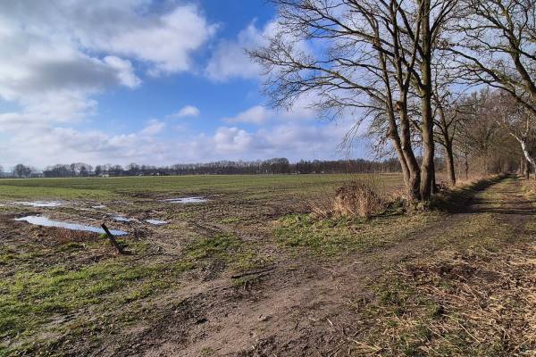 Agrarische grond Van Rijckevorselweg Vinkel (Gem. Den Bosch)
