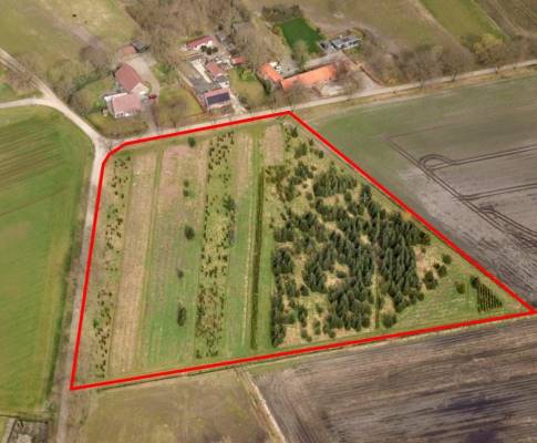 Agrarische grond Oude Dijk Ospel