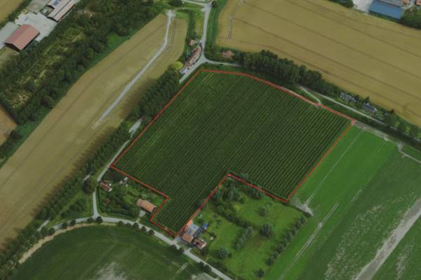 Agrarische grond nabij Schoondijksedijk Driewegen