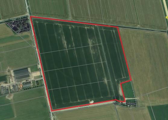 Agrarische grond Bosseweg Wijk en Aalburg