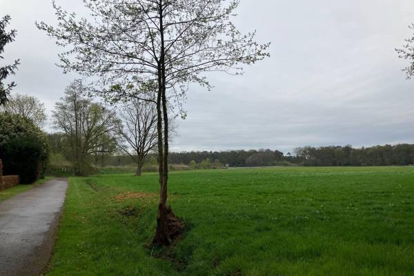 Agrarische grond Terwisscha Appelscha