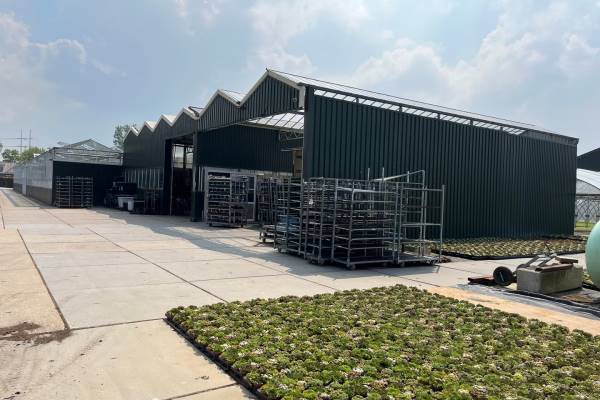Agrarisch bedrijf Spieringweg 1135-B Zwaanshoek