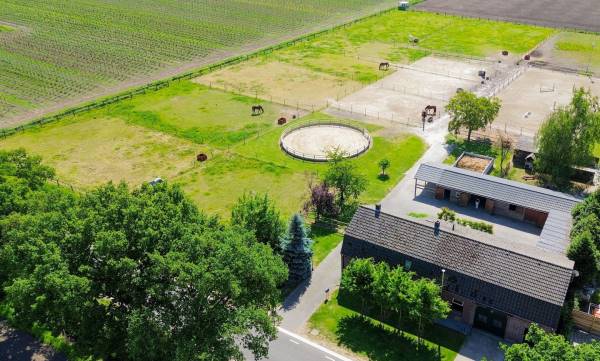 Agrarisch bedrijf Steegse Peelweg 87 Veulen