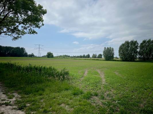 Agrarische grond Sint-Ignatiusdijk Halsteren
