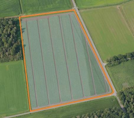 Agrarische grond Meterikseweg Castenray