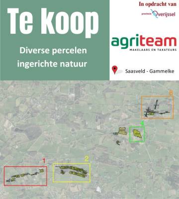 Agrarische grond Withagsmedenweg Deurningen (Gem. Dinkelland)