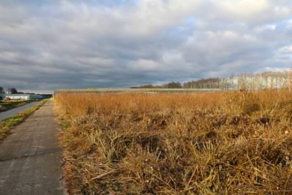 Agrarisch bedrijf Achterdiep Noordzijde Sappemeer