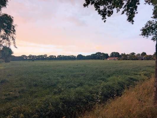 Agrarische grond Haartweg Winterswijk Miste