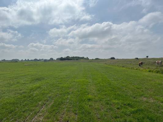 Agrarische grond Oudendijkseweg Woubrugge