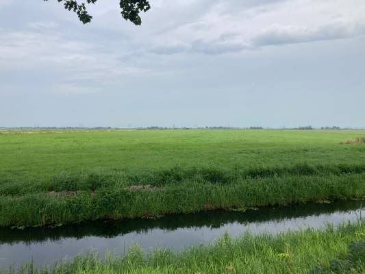 Agrarische grond Oosterholtseweg IJsselmuiden