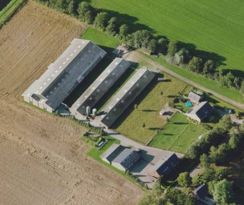 Agrarisch bedrijf Coxsebaan 18 Erp