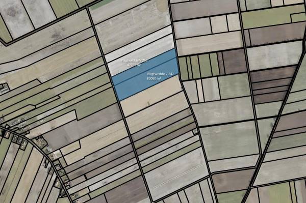 Agrarische grond Bourtangerstraat Vlagtwedde