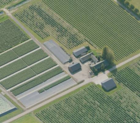 Agrarisch bedrijf Swolgensedijk 18 Melderslo