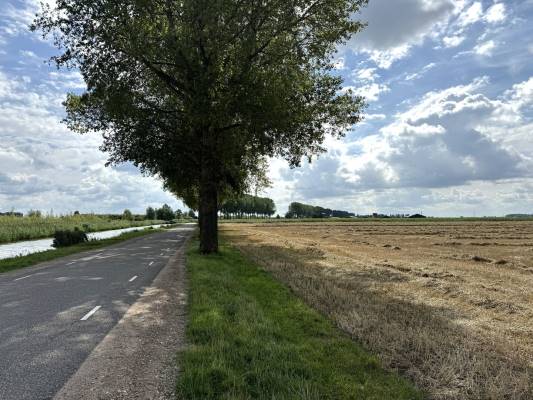 Agrarische grond Nieuwslag 9 Elst (GE)