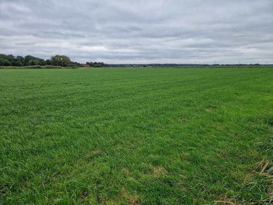 Agrarische grond Nieuweweg Ossendrecht