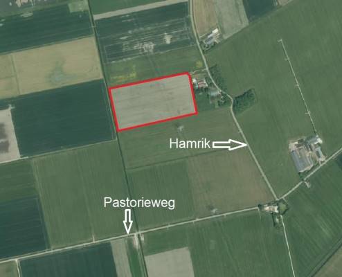 Agrarische grond Hamrik Noordbroek