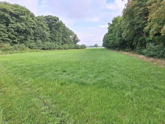 Agrarische grond Prinsenweg Langenboom