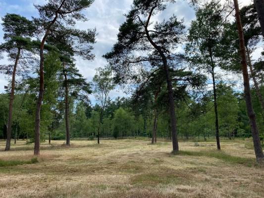 Bedrijfsruimte Zeisterweg Woudenberg