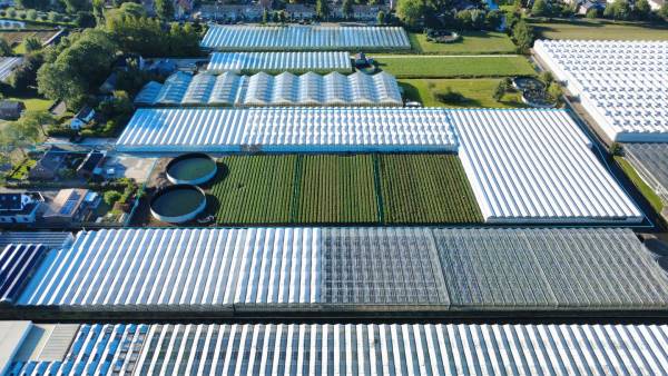 Agrarisch bedrijf De Baan 54 Oude Wetering