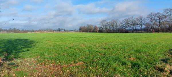 Agrarische grond Blaktdijk Kronenberg