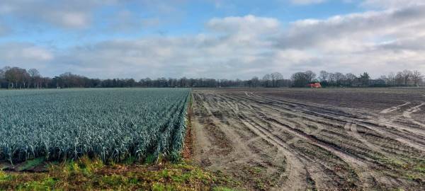 Agrarische grond Hottemeerweg America