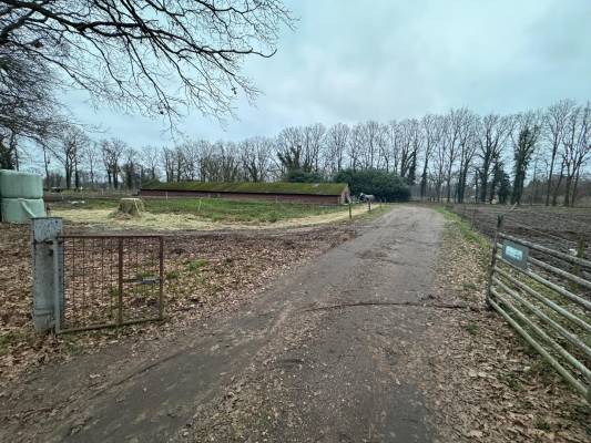 Bedrijfsruimte Morskers Driehuisweg Winterswijk