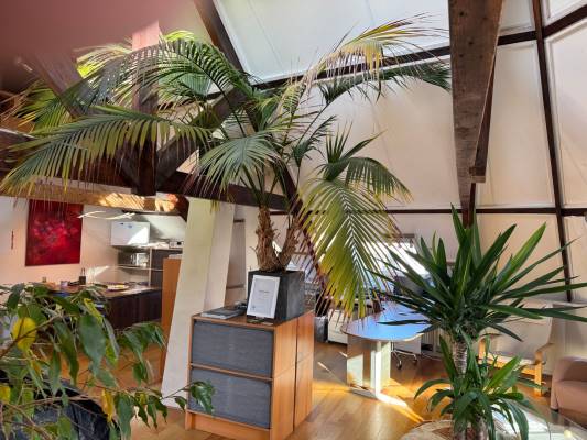 Kantoorruimte Coosje Buskenstraat 161 Vlissingen