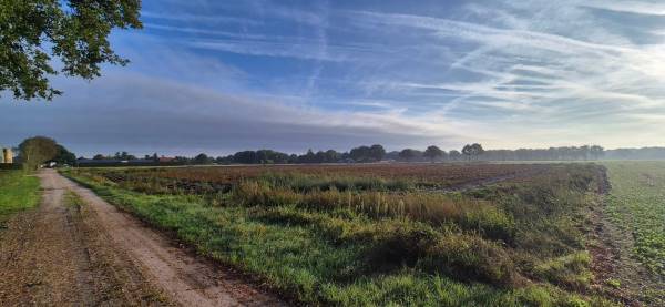 Agrarische grond Achter-Oventje Zeeland