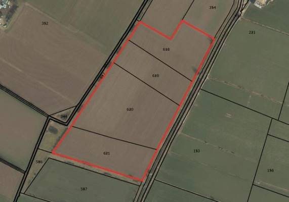 Agrarische grond Kouwedijk Ooij