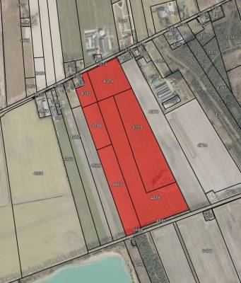 Agrarische grond Jipsingboertangerweg Sellingen